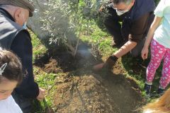 17 maggio 2021 - piantumazione ulivo presso monumento don Gnocchi