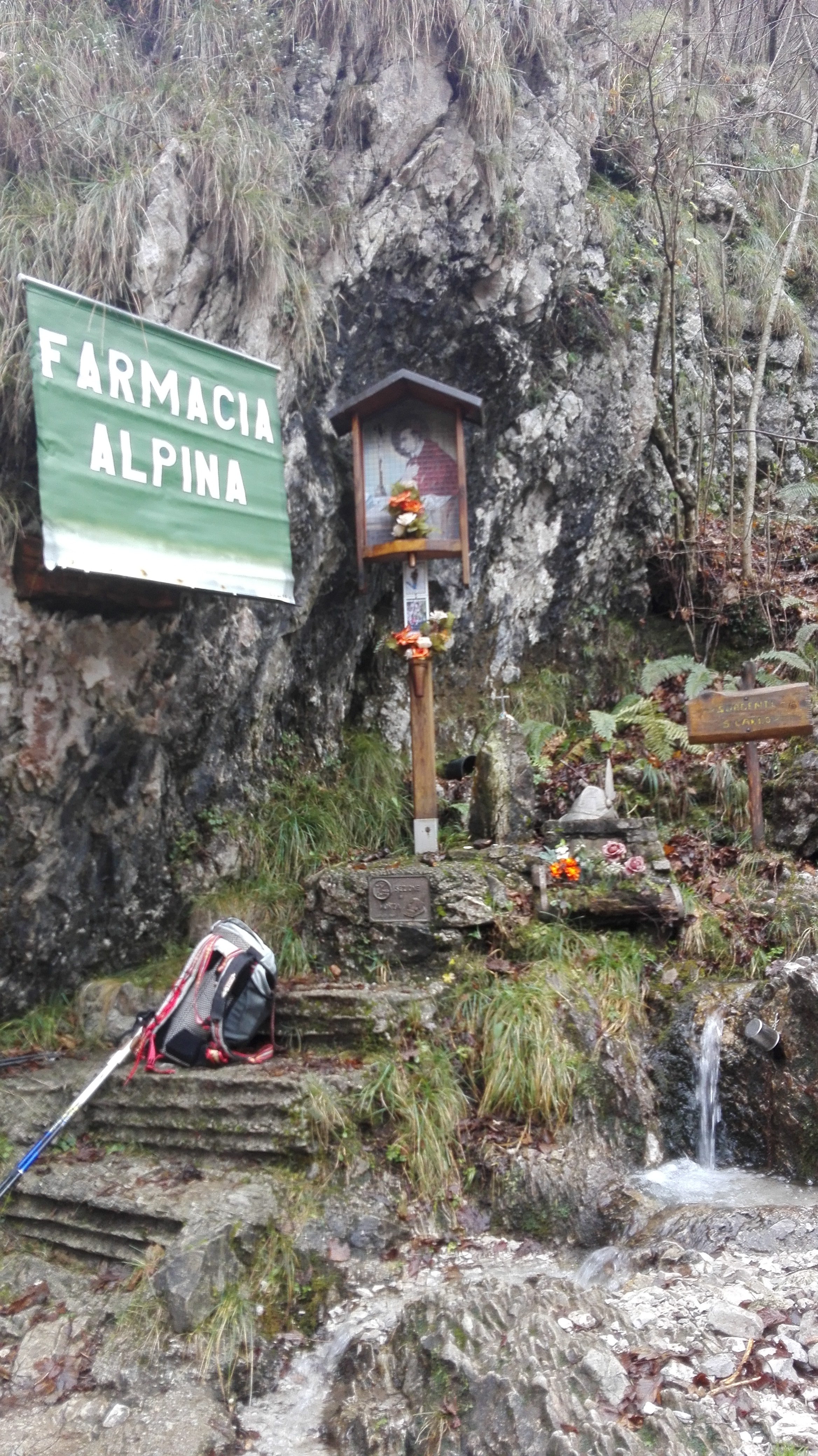 Scopri di più sull'articolo La Farmacia Alpina